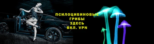 хмурый Алзамай
