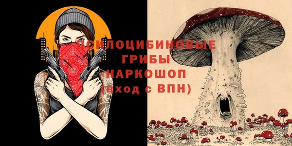 прущие грибы Алексеевка