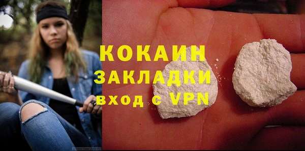 хмурый Алзамай