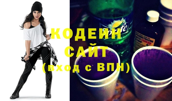 хмурый Алзамай