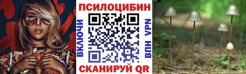 Псилоцибиновые грибы мухоморы ОМГ ОМГ зеркало Ковылкино